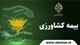 خبر خوش برای گندمکاران؛ حق بیمه سهم کشاورز، توسط دولت پرداخت می شود